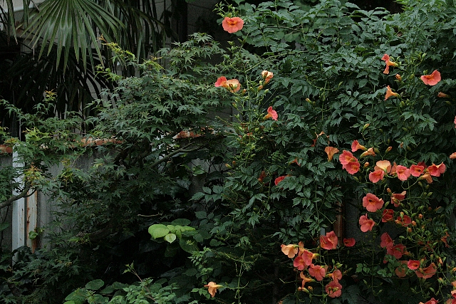 d0133693_22314482.jpg