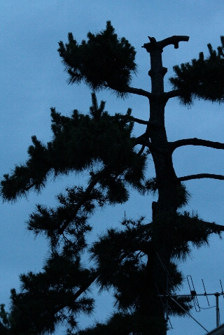 d0133693_22485075.jpg