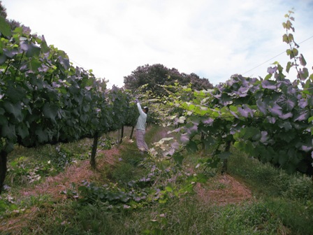 a0113394_10144666.jpg