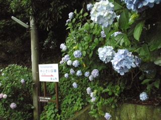 f0130894_1747373.jpg