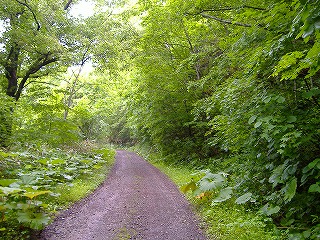 c0107997_14403046.jpg