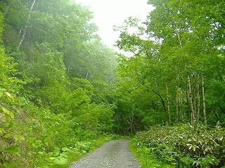 c0107997_14421651.jpg