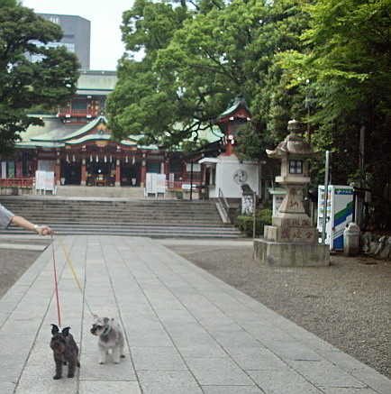 c0138198_15213372.jpg