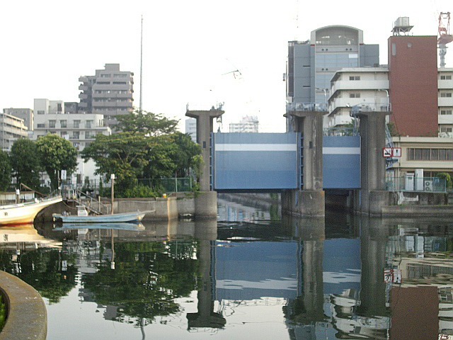 c0138198_15312037.jpg