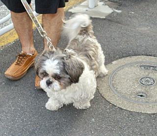 c0138198_1545023.jpg