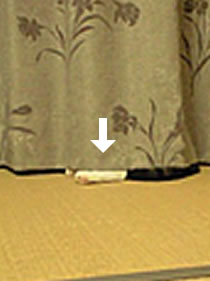 c0035001_14184144.jpg