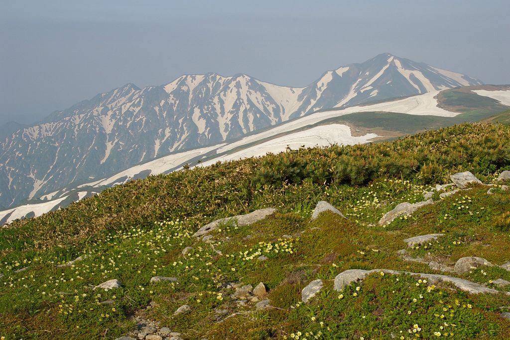 b0050305_19481434.jpg