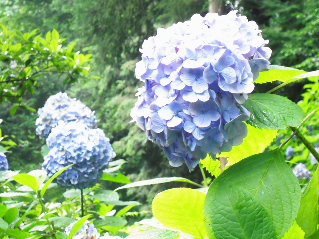 c0132608_21392736.jpg