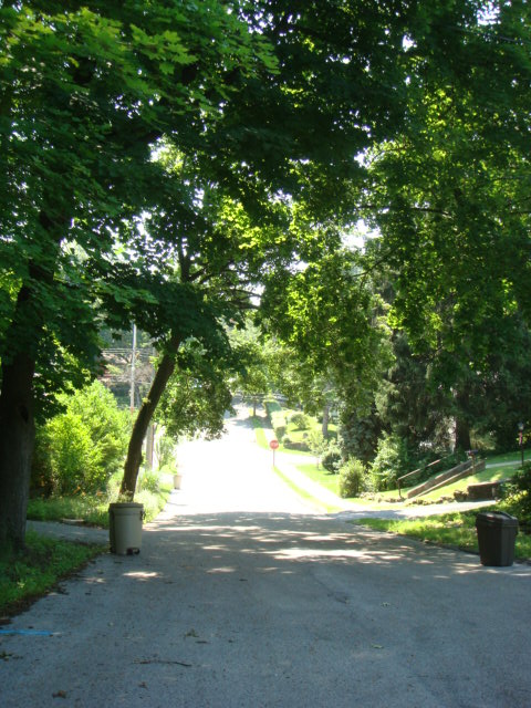 e0147716_710384.jpg