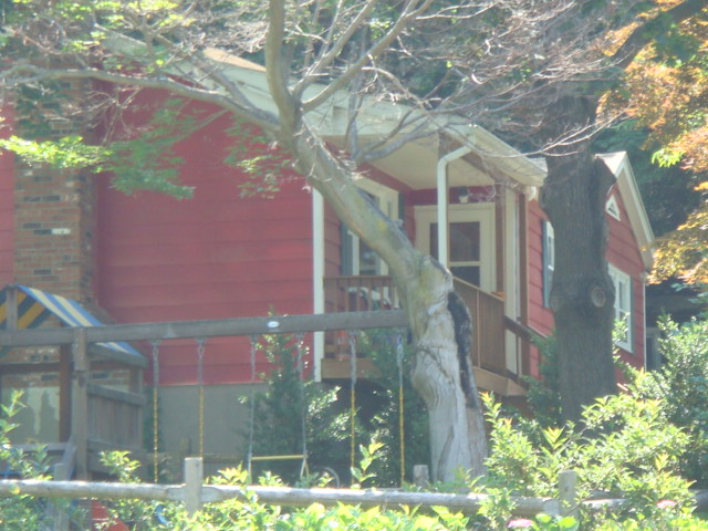 e0147716_73462.jpg