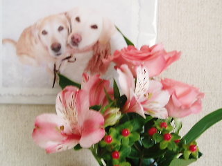 f0192117_1841565.jpg