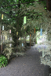 e0135219_17243450.jpg