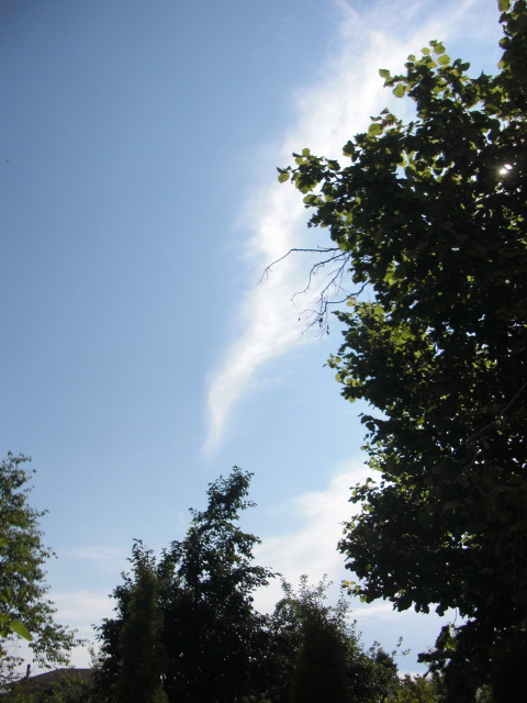 f0173324_22145294.jpg