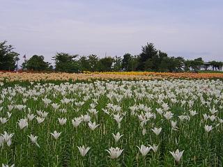b0181027_12352663.jpg