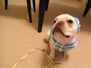 f0192827_23272836.jpg