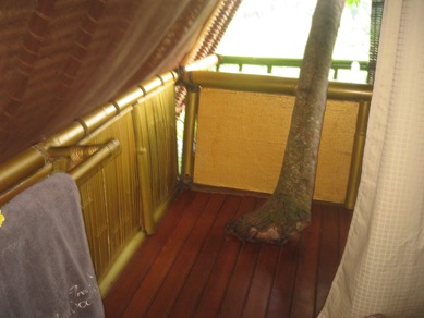 f0162528_11532244.jpg