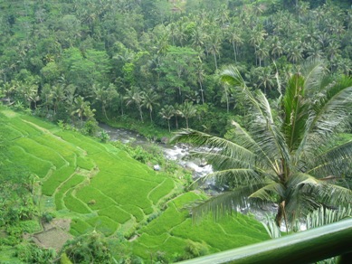f0162528_11581955.jpg