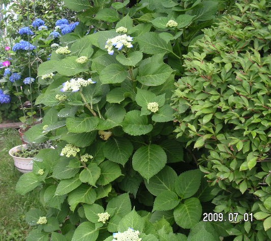 a0020929_11354045.jpg