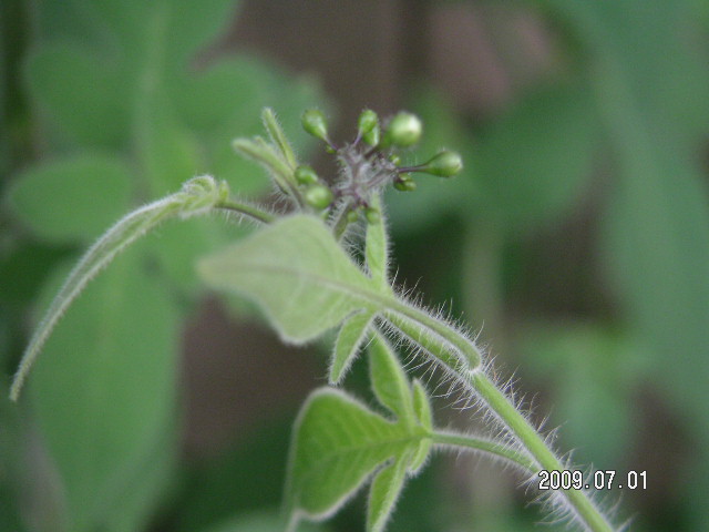 a0020929_11442465.jpg