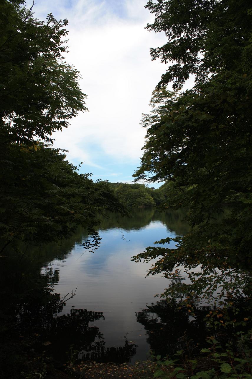 a0123331_2155242.jpg