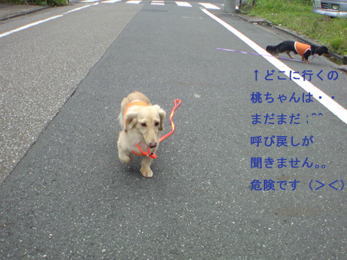 c0117831_2205734.jpg