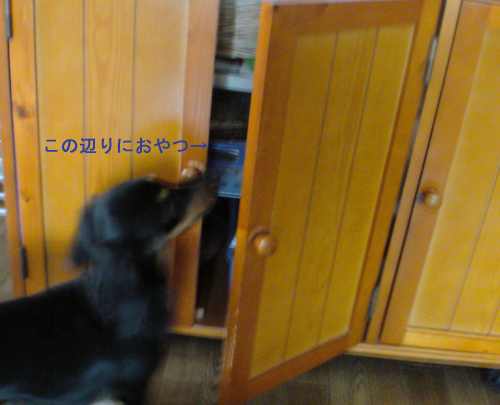 c0117831_2285864.jpg
