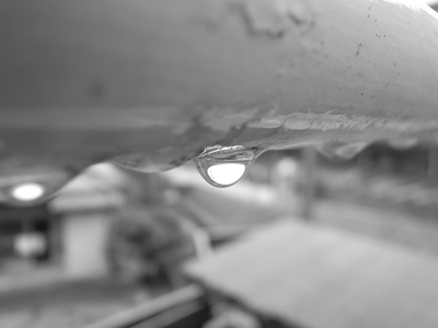 a0108837_12132075.gif