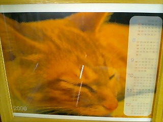 c0117239_15101573.jpg