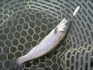 f0065341_9314099.jpg