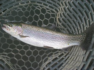 f0065341_9322781.jpg