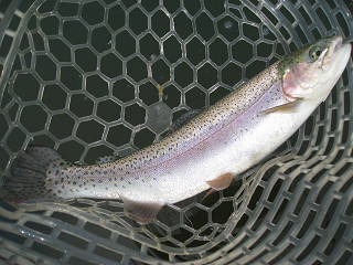 f0065341_9351292.jpg
