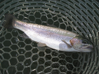 f0065341_93546100.jpg