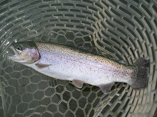f0065341_9453734.jpg
