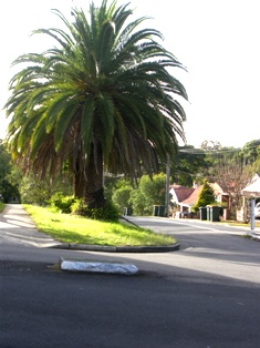 c0134543_9212012.jpg