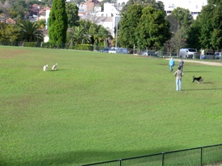 c0134543_958922.jpg