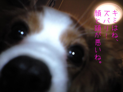 a0120944_1221088.jpg