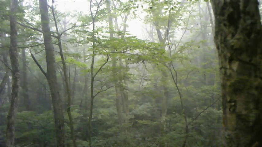 b0139547_2246940.jpg