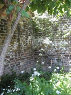 e0018350_21175982.jpg