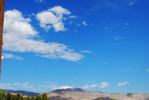 c0181652_1135458.jpg