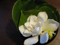 c0153259_20105767.jpg