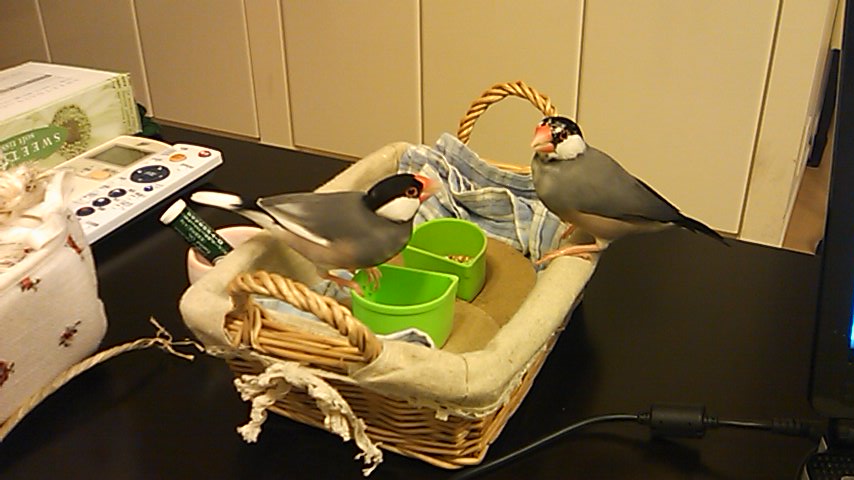 b0158061_21385366.jpg