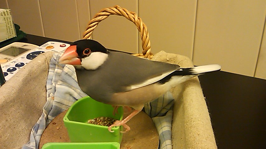 b0158061_21431730.jpg