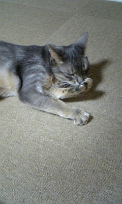 c0139765_2316730.jpg