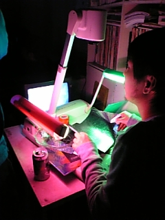 b0184272_14252211.jpg