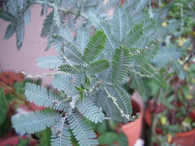 c0197173_22132832.jpg
