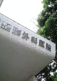 d0109373_18131359.jpg