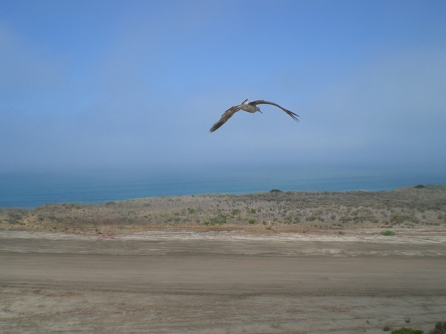 c0187677_1562446.jpg
