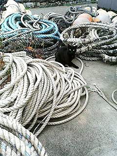 f0054677_7534558.jpg