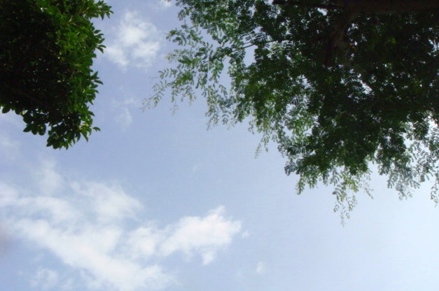 e0154682_20532780.jpg