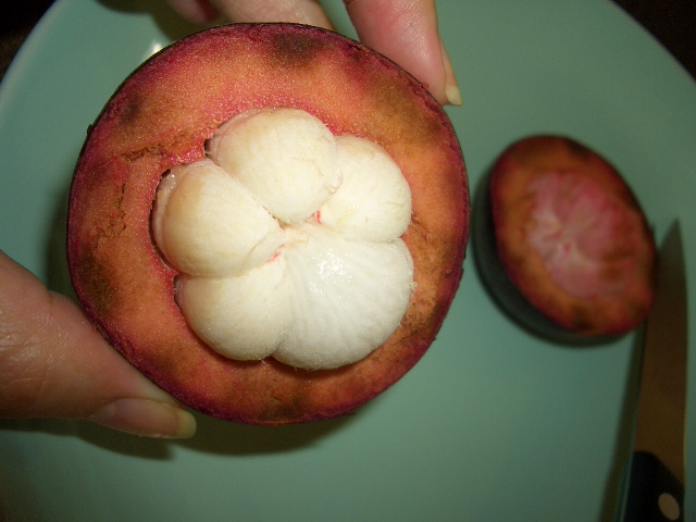 c0175883_234404.jpg
